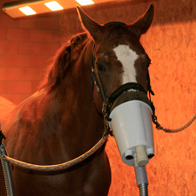 Inhalationsanwendung unter dem Solarium